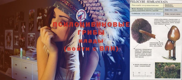 амф Абаза