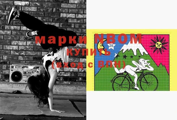 мет Алексин