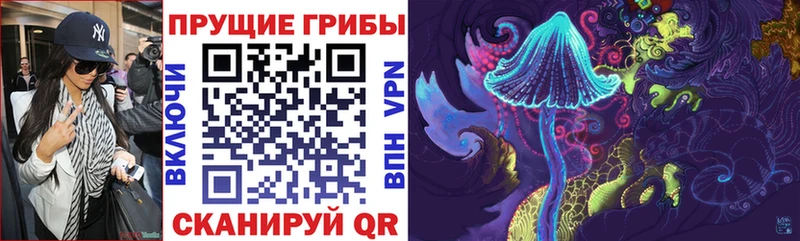 купить   Троицк  Галлюциногенные грибы Magic Shrooms 